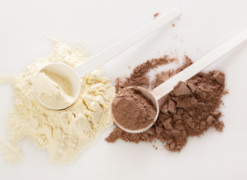 Difference Between Whey and Plant Protein